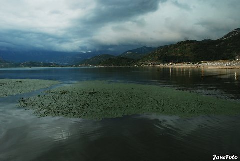 DSC-0314-edit.jpg