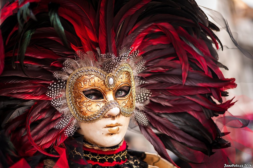 Karneval v Benátkách 2014