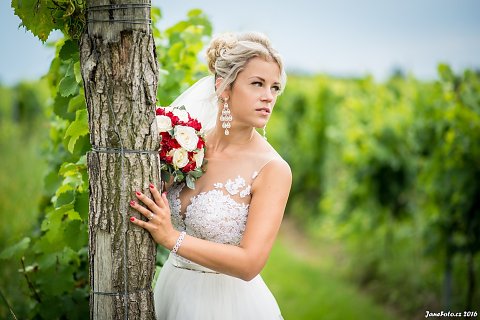 DSC-3251-Edit.jpg