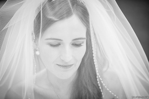 DSC-6635-Edit-2.jpg