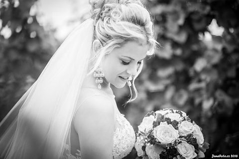 DSC-3284-Edit-2.jpg