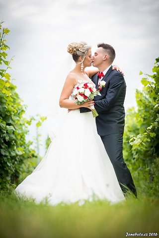 DSC-3296-Edit.jpg