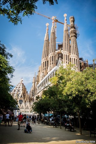 DSC-9830-Edit.jpg