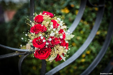 janefotocz-248.jpg