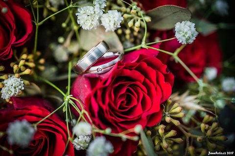 janefotocz-249.jpg