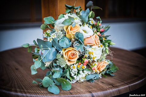 janefotocz-301.jpg