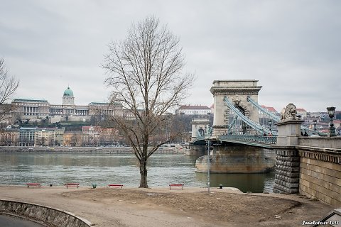DSC-8035.jpg