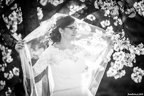 DSC-3483-Edit-2.jpg