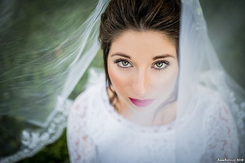 DSC-6602-Edit.jpg
