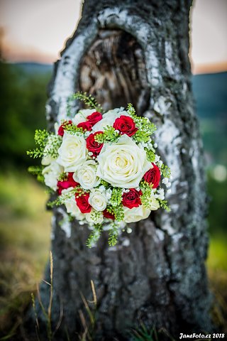 DSC-2587-Edit.jpg