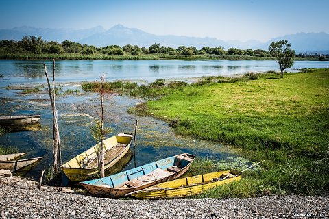 DSC-5031-Edit.jpg