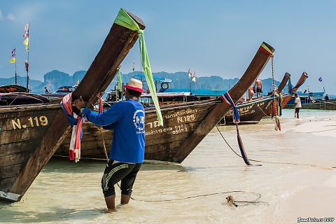 DSC-1303.jpg