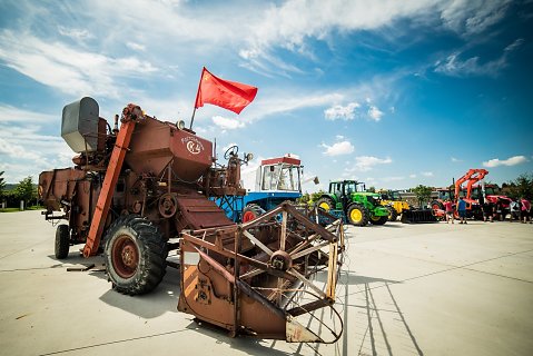 DSC-6201.jpg