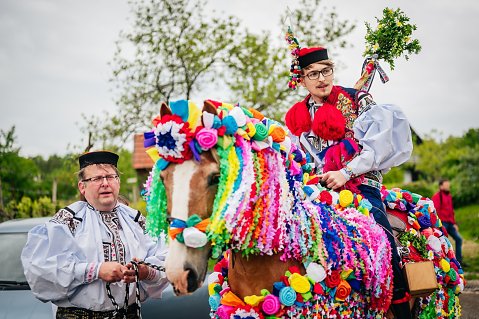 DSC-5858.jpg