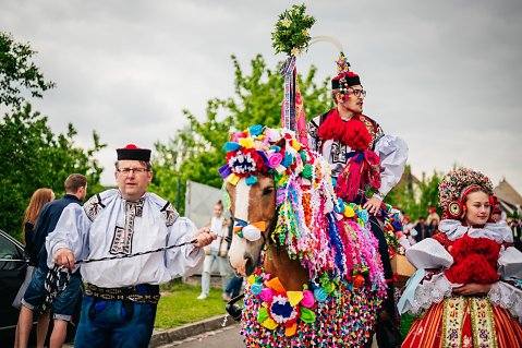 DSC-6242.jpg