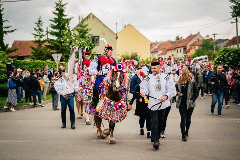 DSC-6289.jpg