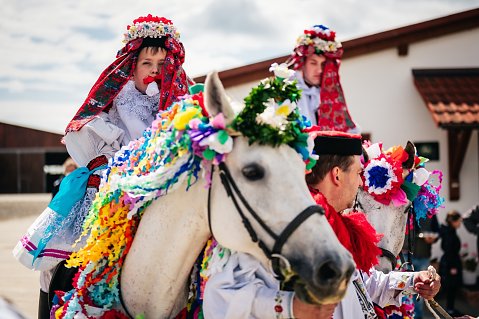 DSC-6440.jpg