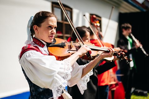 DSC-6573.jpg