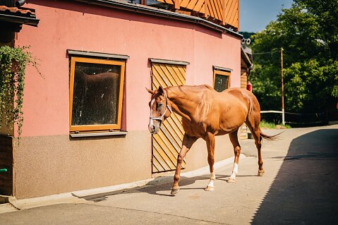 JaneFotocz-17.jpg