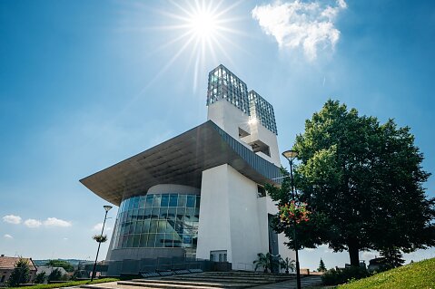 JaneFotocz-163.JPG