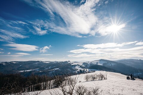 DSC-2385-Edit.jpg