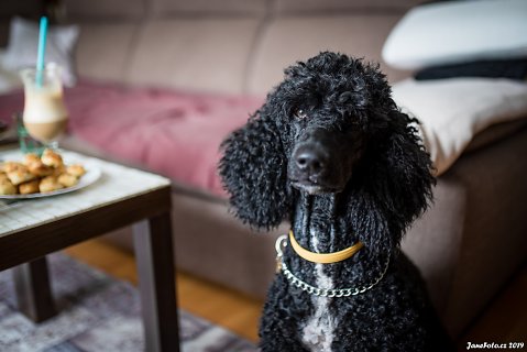 JaneFotocz-30.jpg