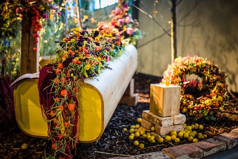DSC-8750-Edit.jpg