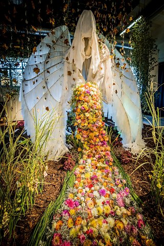 DSC-8775-Edit.jpg